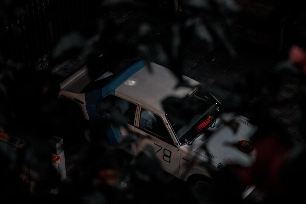 Photo survivor season 49