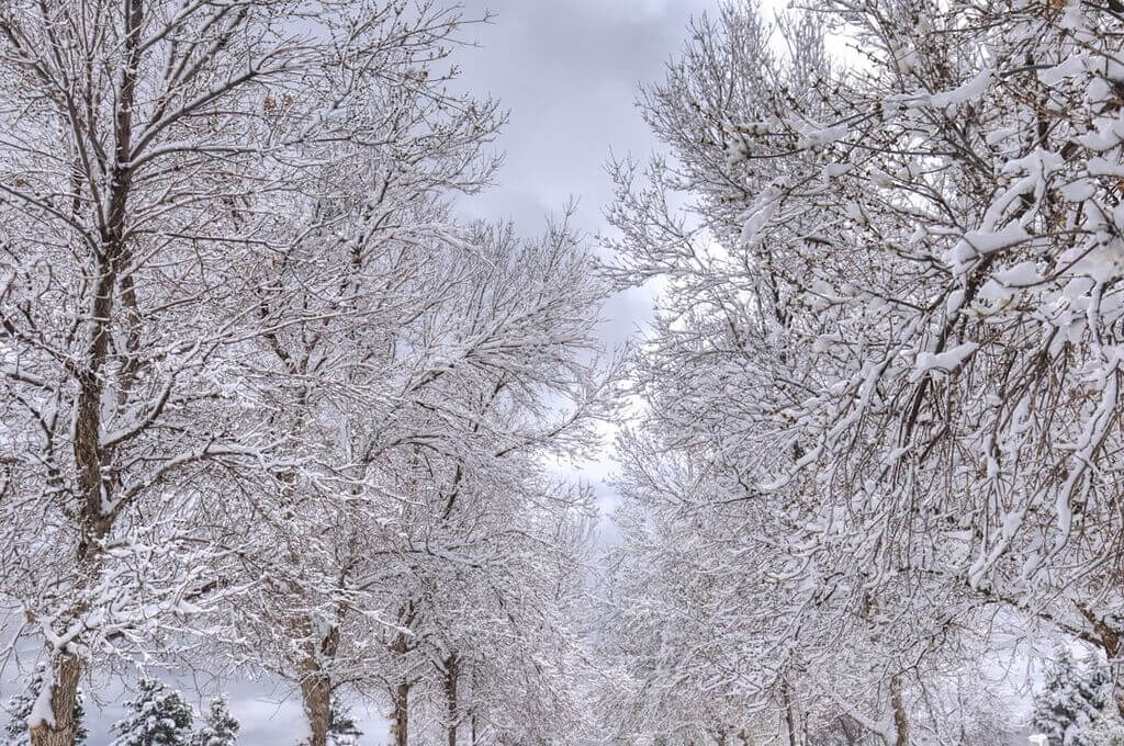 Photo accuweather winter forecast