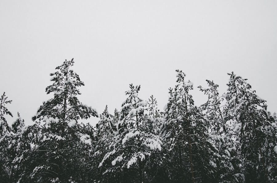 Photo accuweather winter forecast