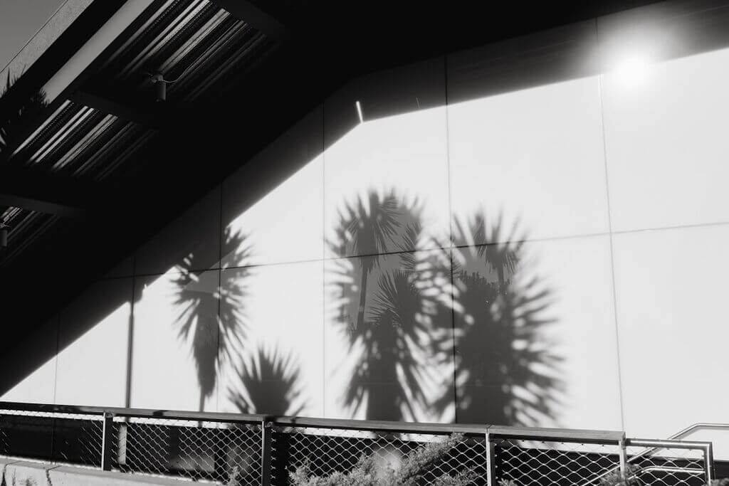 Photo graham norton show